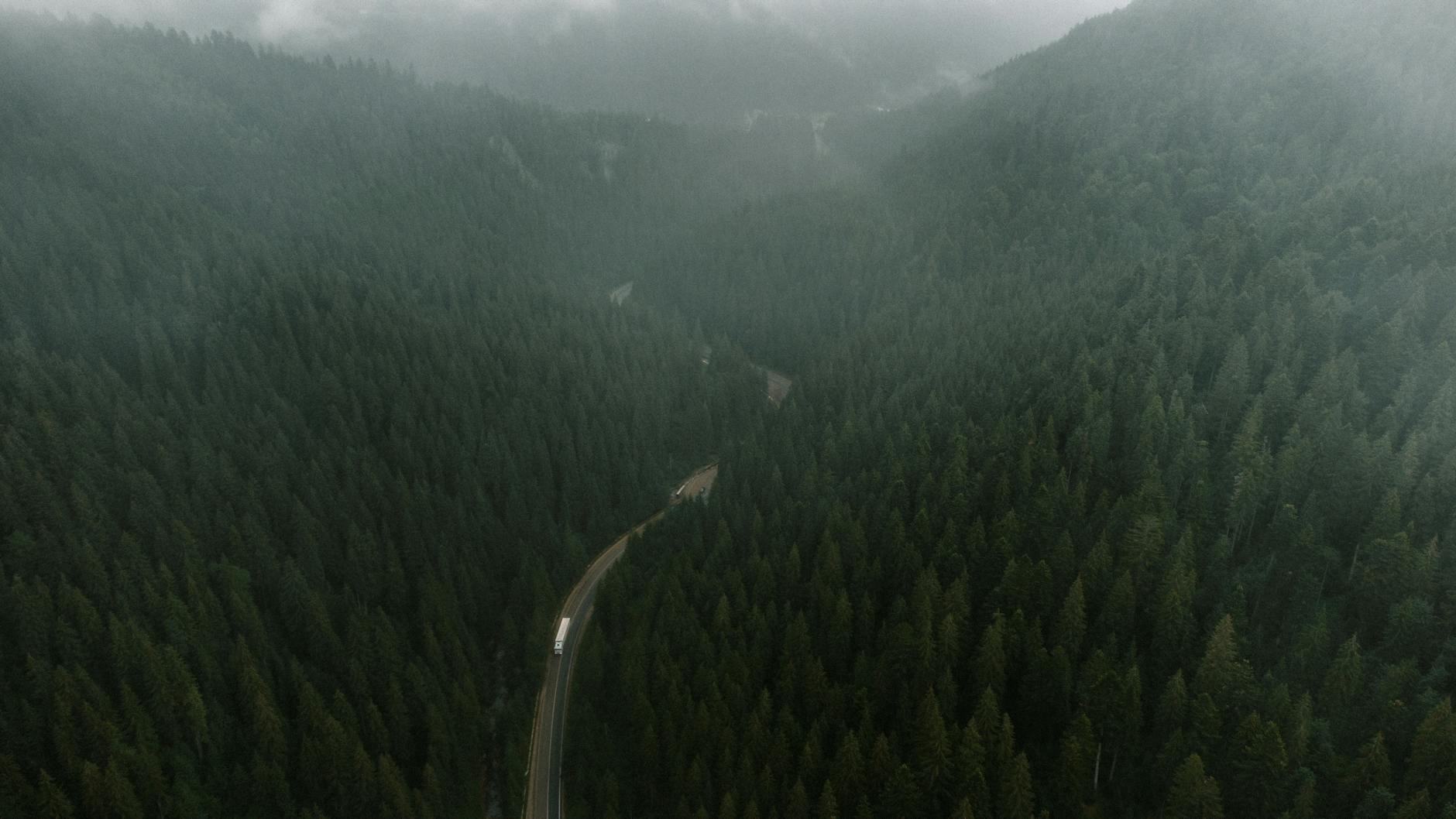 Aerial view of a foggy road winding through lush green forested mountains.