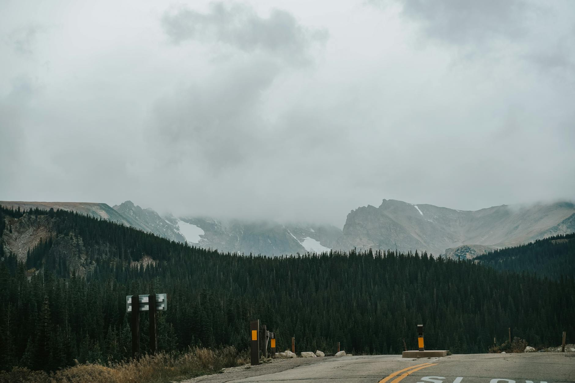 A fog-covered road leading through the coniferous forest in the Colorado mountains, showcasing winter's serene beauty.