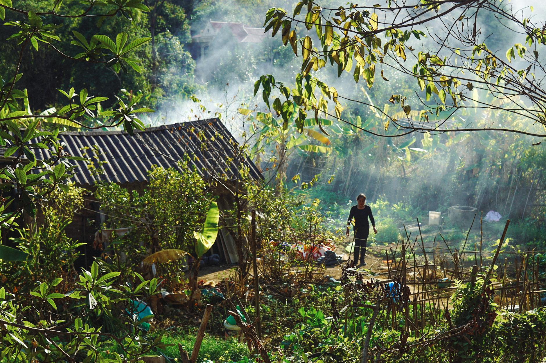 Scenic view of a rural landscape with a traditional house and lush greenery in Lạng Sơn, Vietnam.