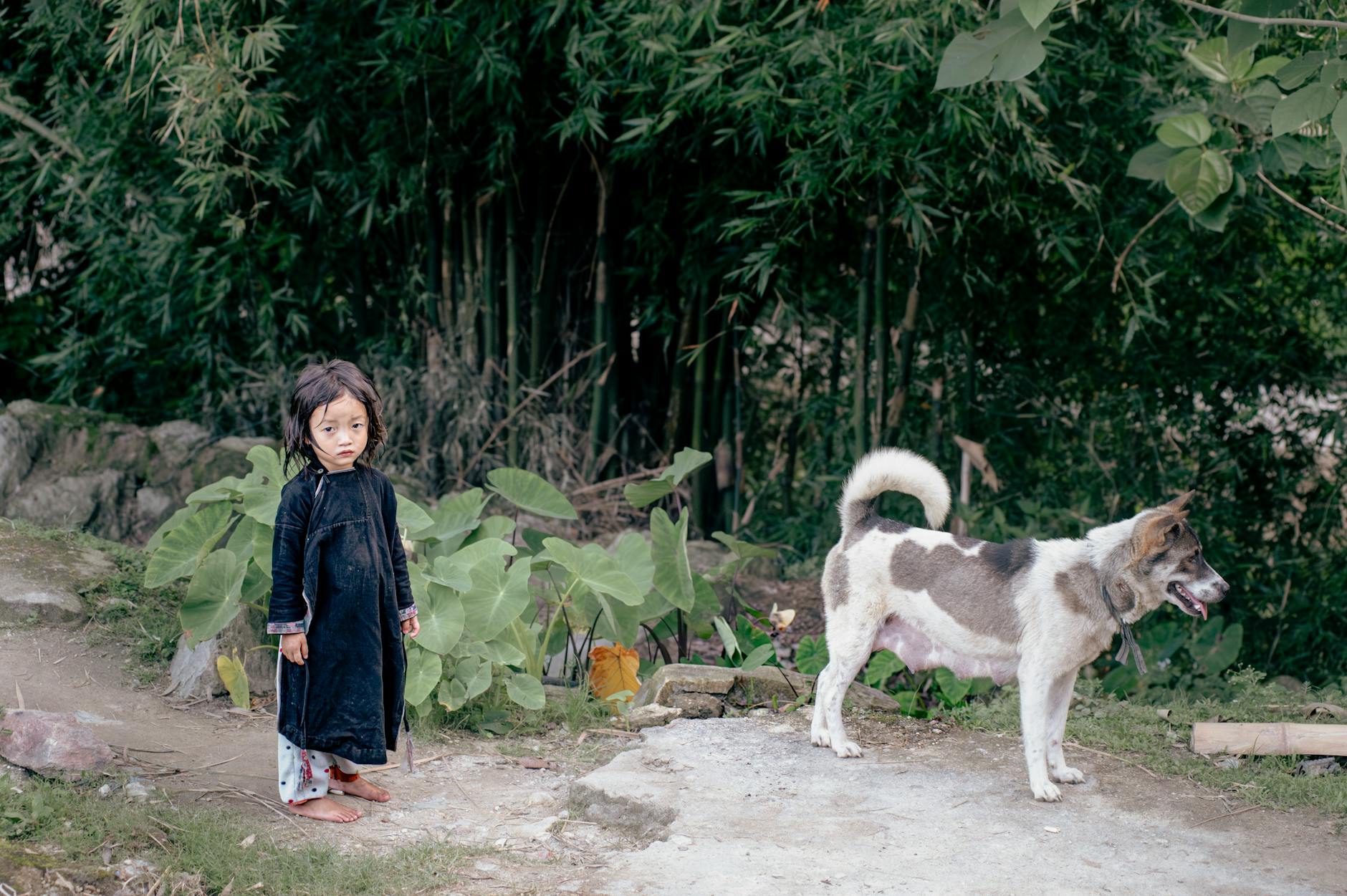 A young child and dog stand amidst lush greenery in a rural Hà Giang village, Vietnam.