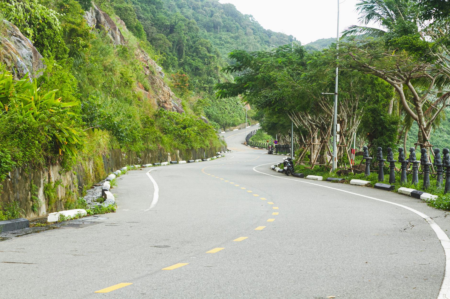 Curved mountain road with lush greenery in Da Nang, Vietnam, offering a serene travel experience.