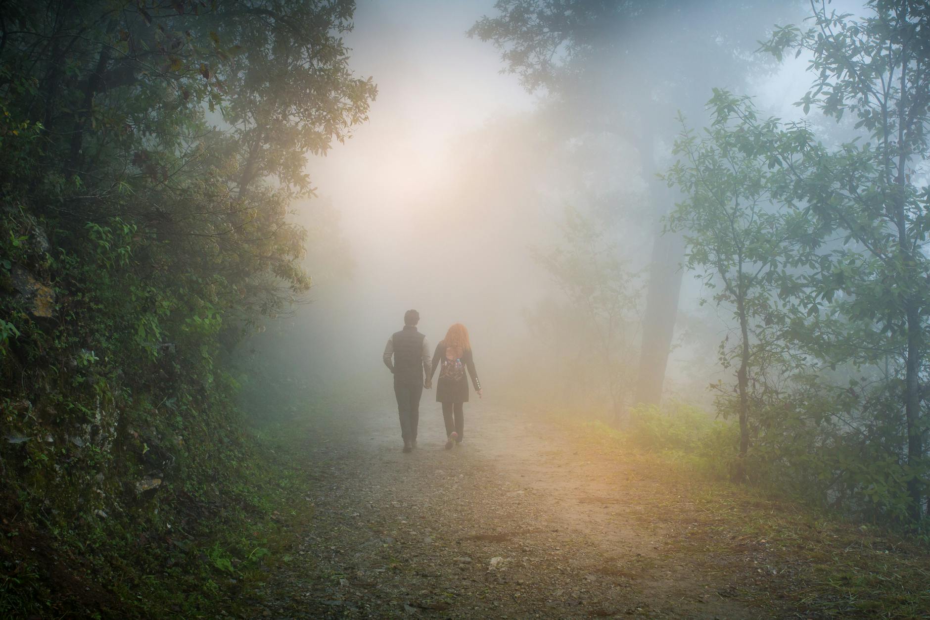 A couple walks hand in hand along a foggy forest path, surrounded by nature.
