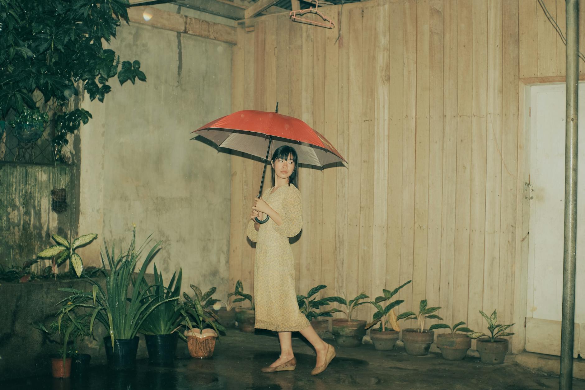 Một chiều mưa ở Mường Lát