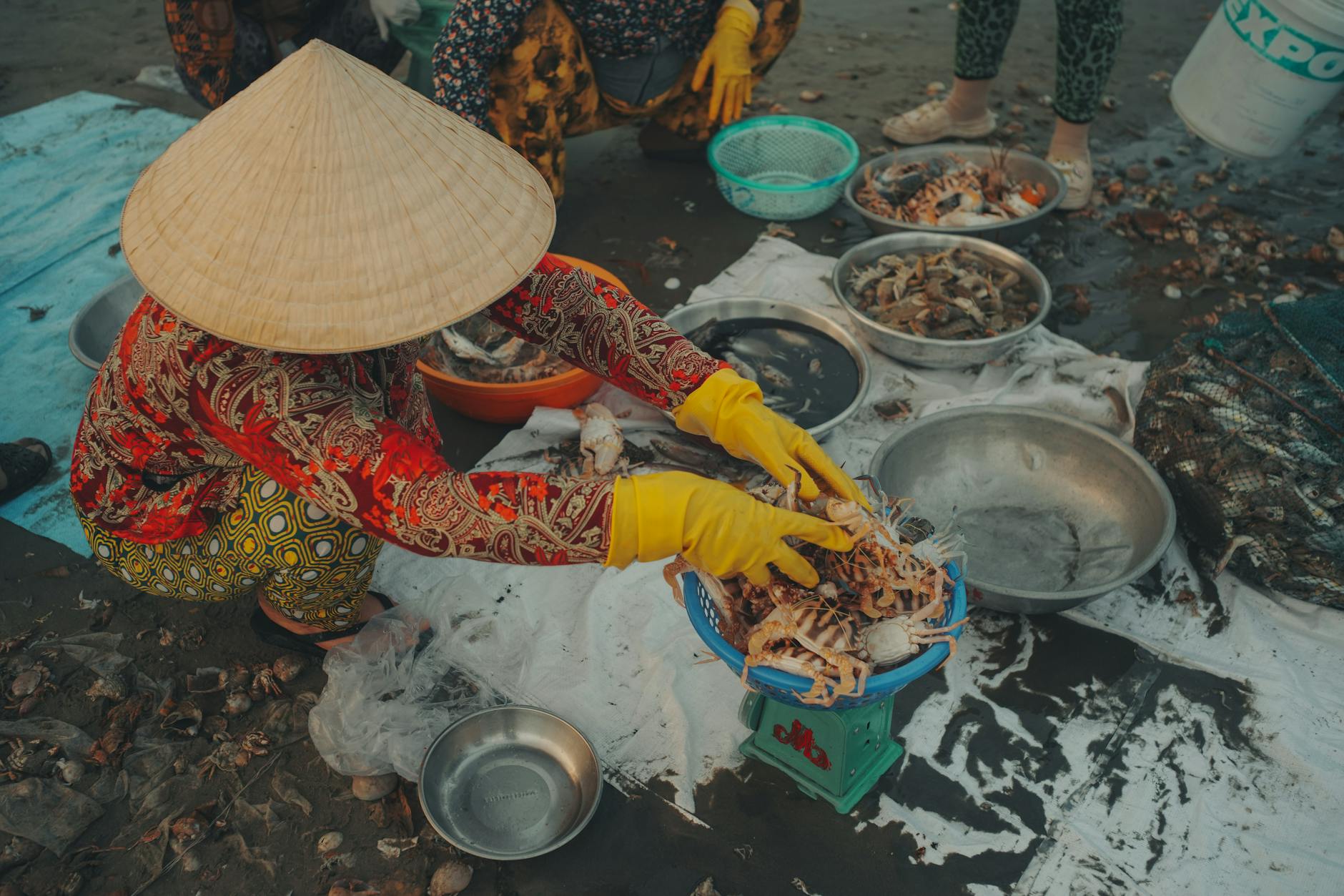 A woman in traditional hat and gloves sorts crabs at an outdoor fish market, showcasing local sea life.