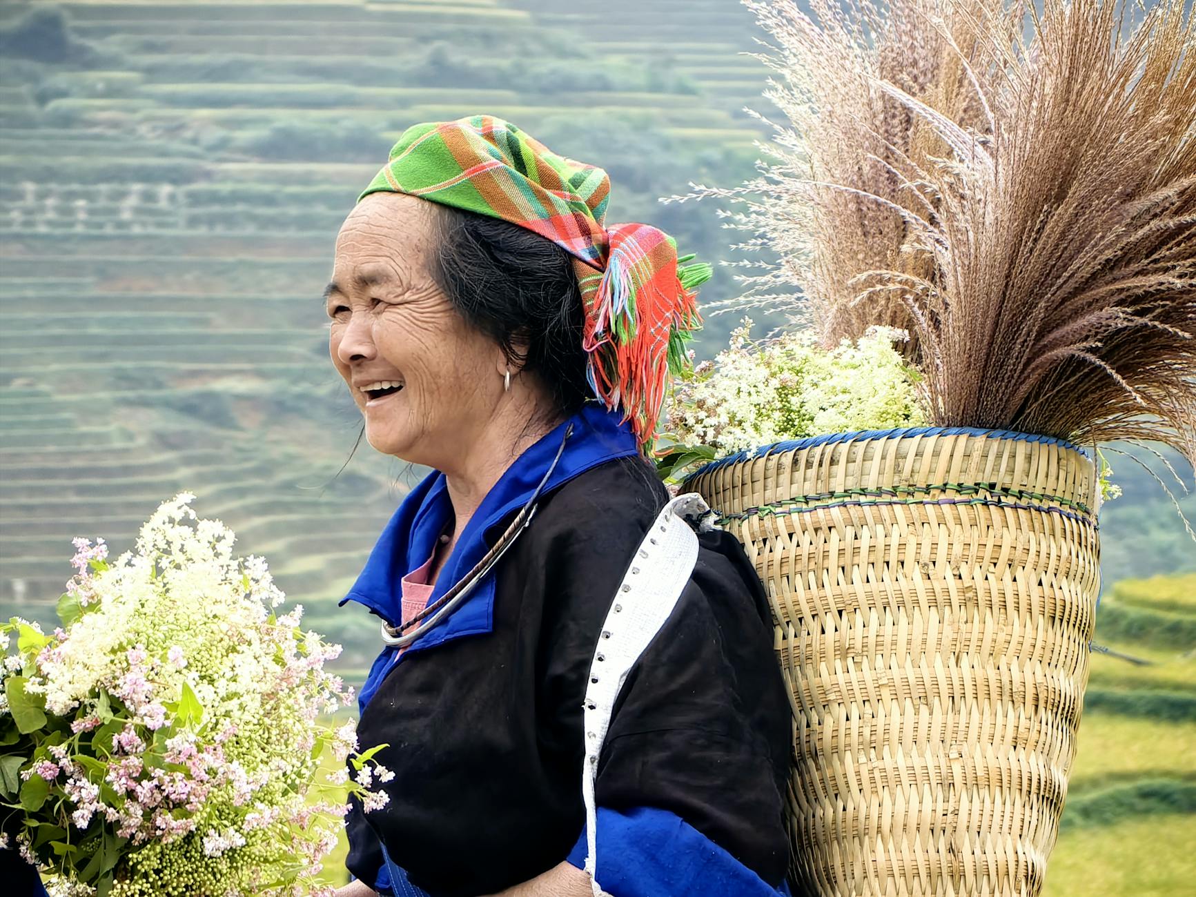 Portrait of a Hmong woman in vibrant attire harvesting flowers in Yên Bái, Vietnam.