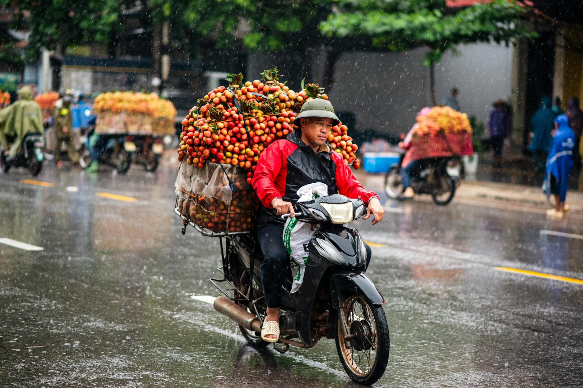 Vibrant scene of a motorcycle transporting lychees through rainy Bac Giang streets.