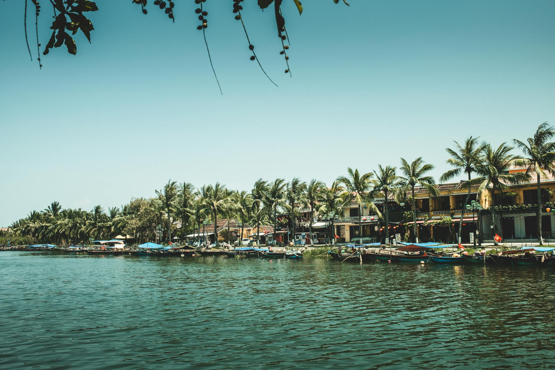 A serene riverside scene with palm trees and traditional Vietnamese houses, perfect for travel imagery.