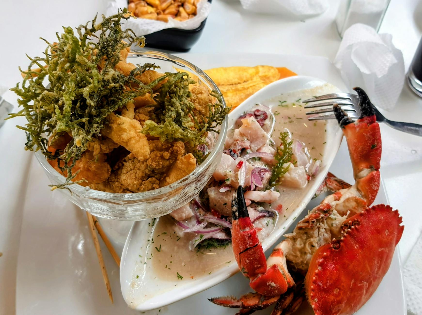 A vibrant seafood platter featuring fried calamari, ceviche, and a crab claw.