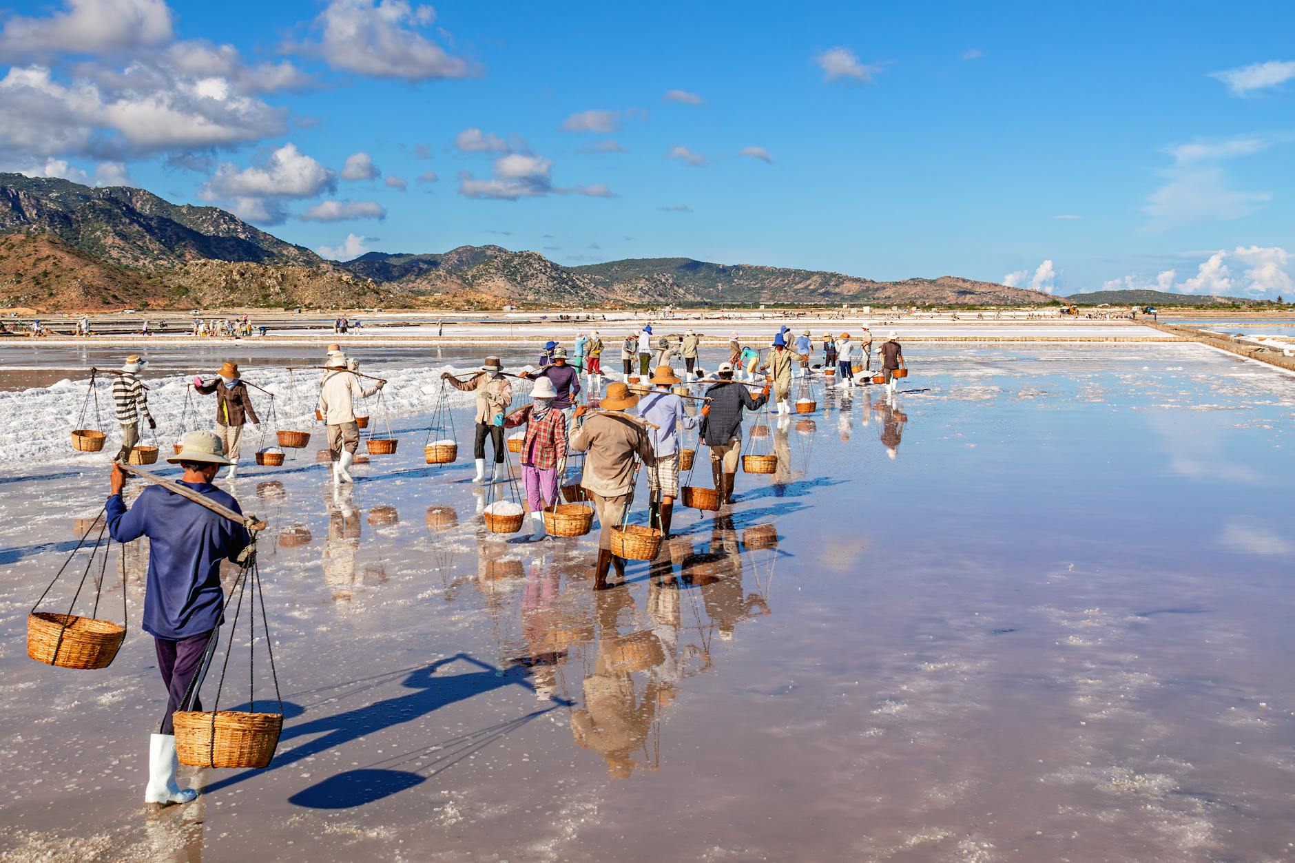 Laborers harvest salt in Vietnam's salt fields, showcasing traditional techniques under sunny skies.