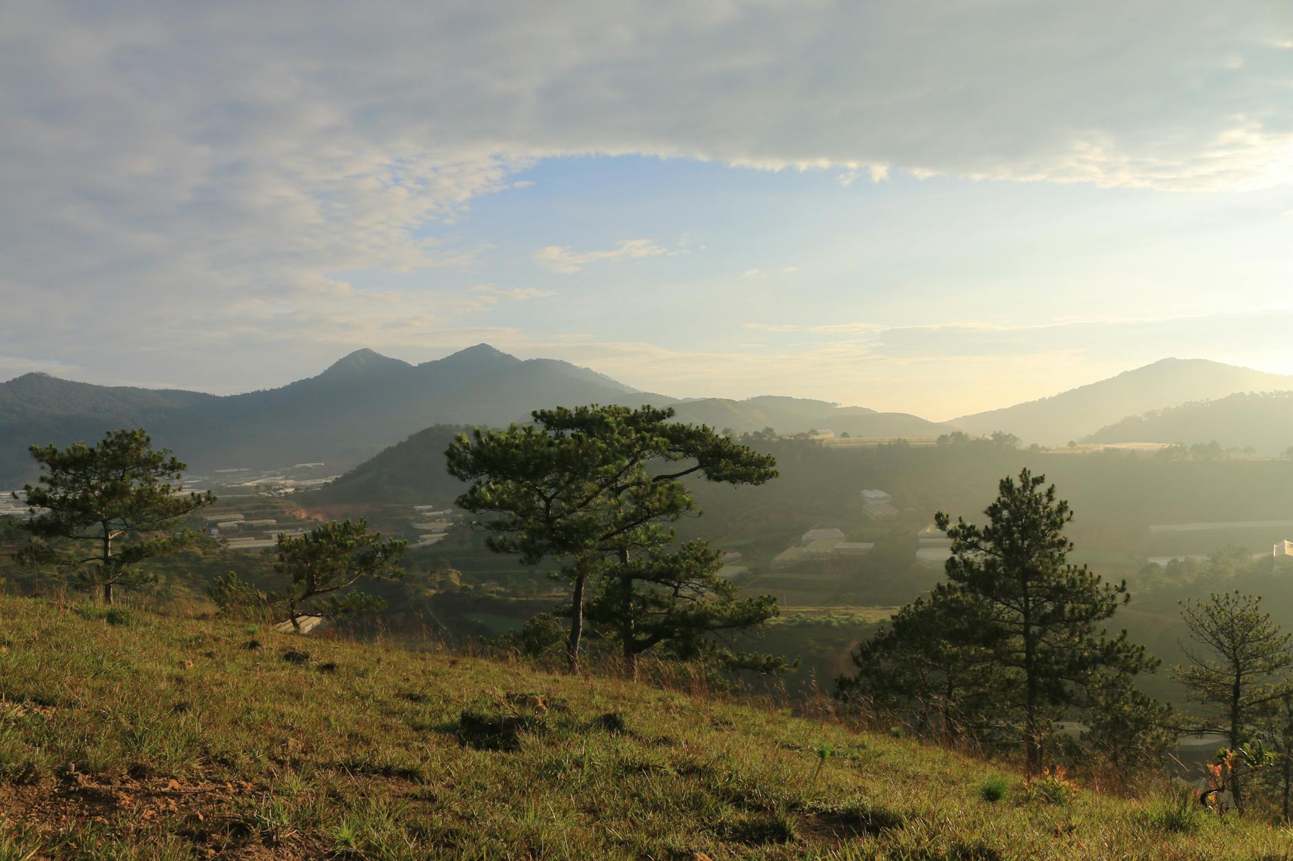 Captivating view of Vietnam's hilly landscape at sunrise with pine trees and clear skies.