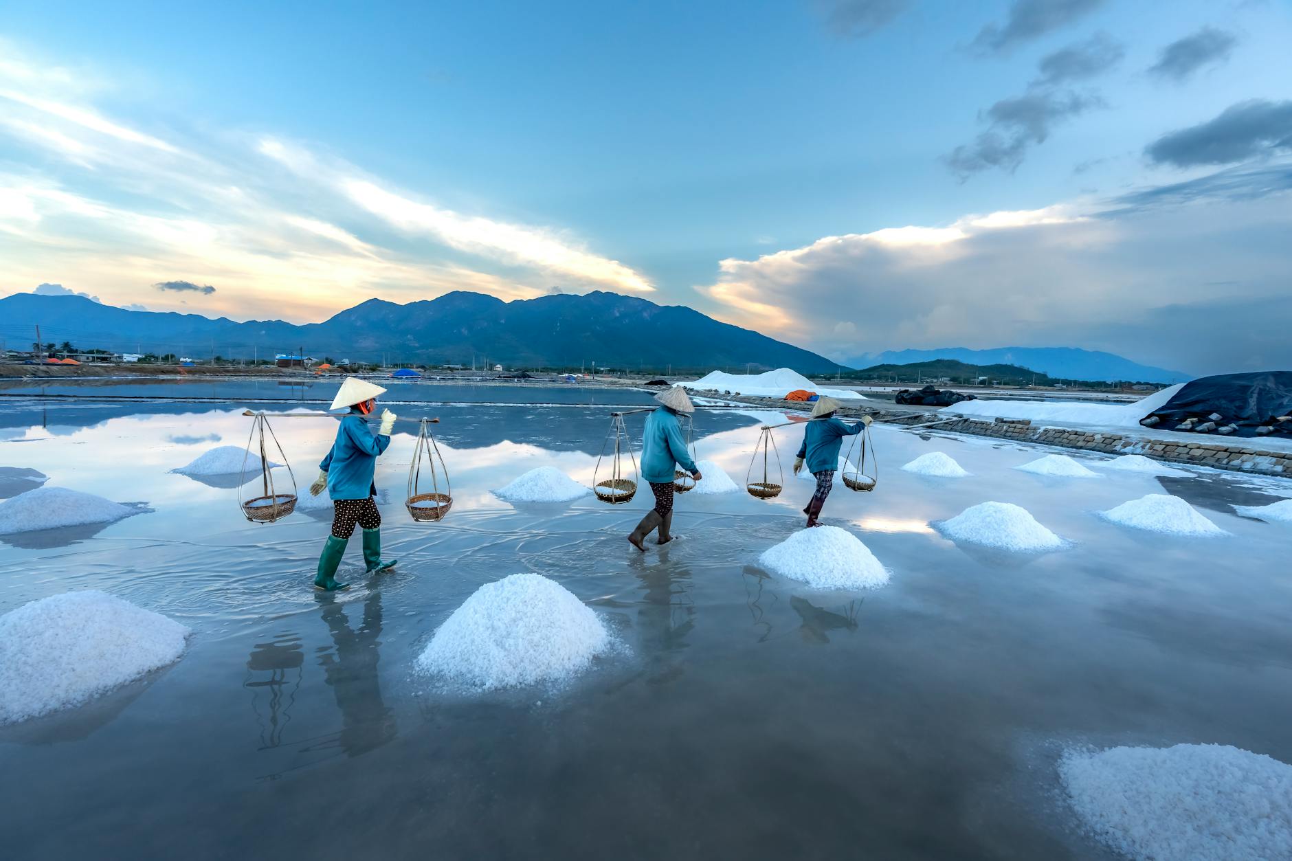 Three salt farmers collecting salt in Vietnam at sunrise.