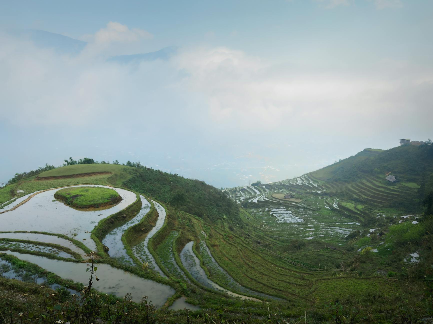 Stunning aerial view of the misty terraced rice fields in Sapa, Vietnam, showcasing natural beauty.