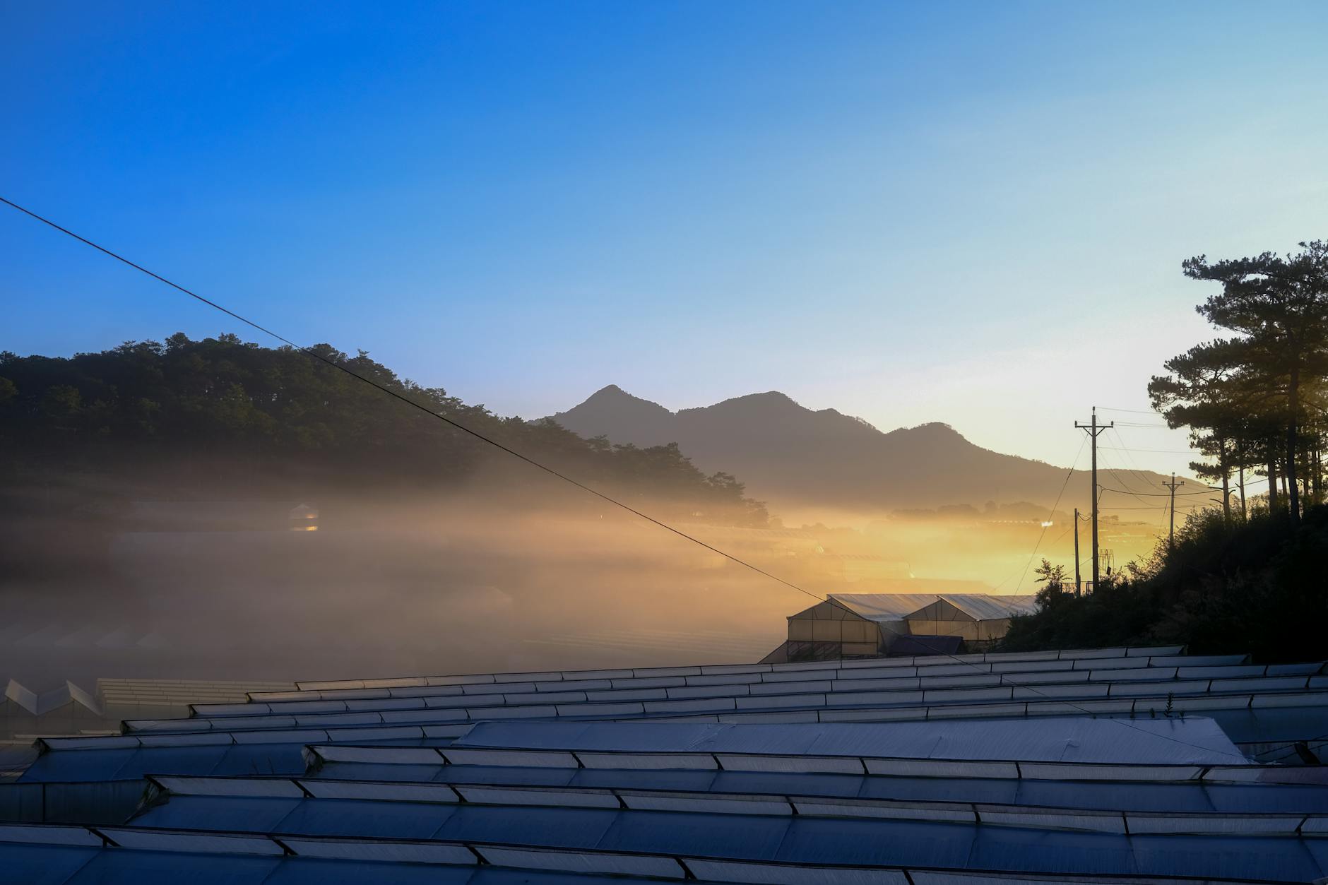 Serene sunrise over greenhouses in Dalat, Vietnam, with misty mountains in the background.