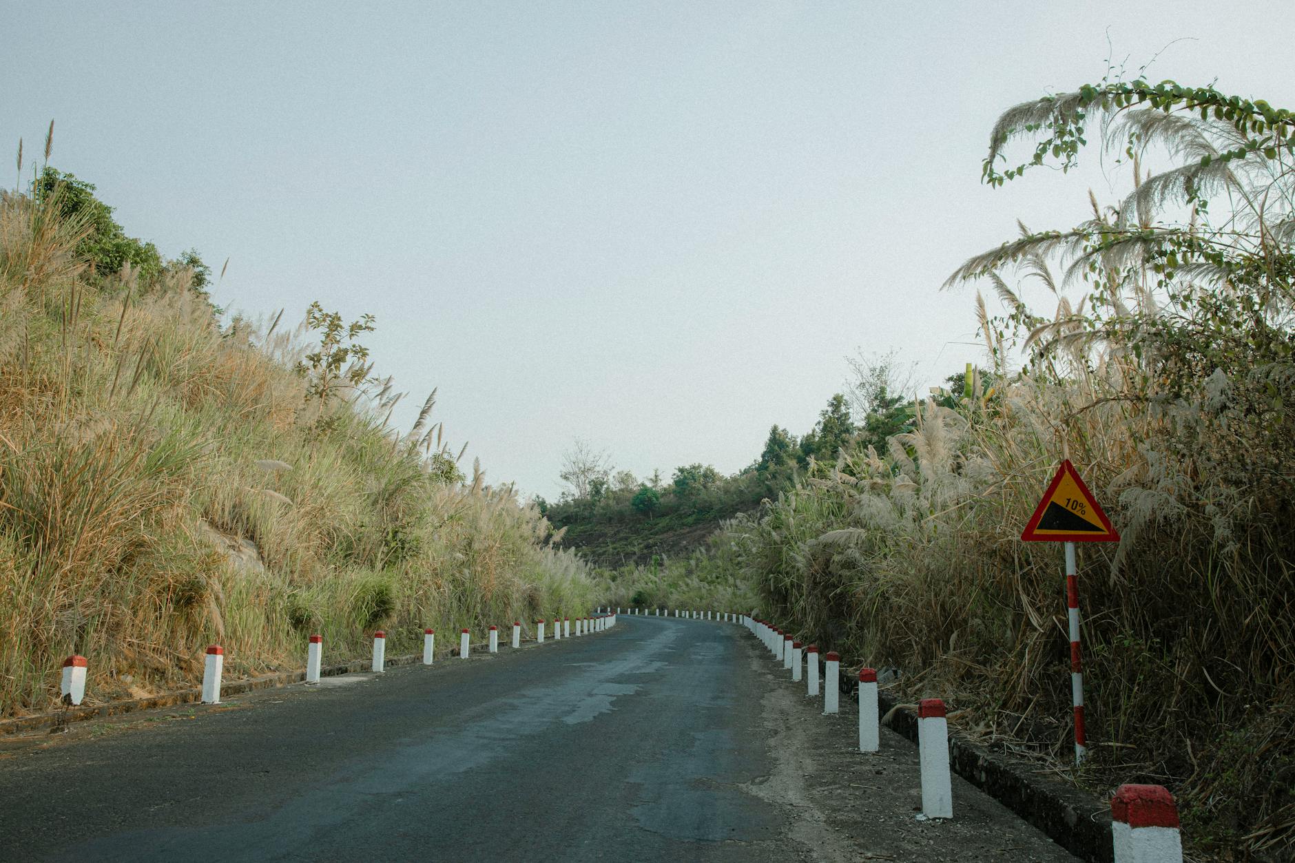 Scenic rural road lined with bollards and grasses in Bình Phước, Vietnam under a clear sky.