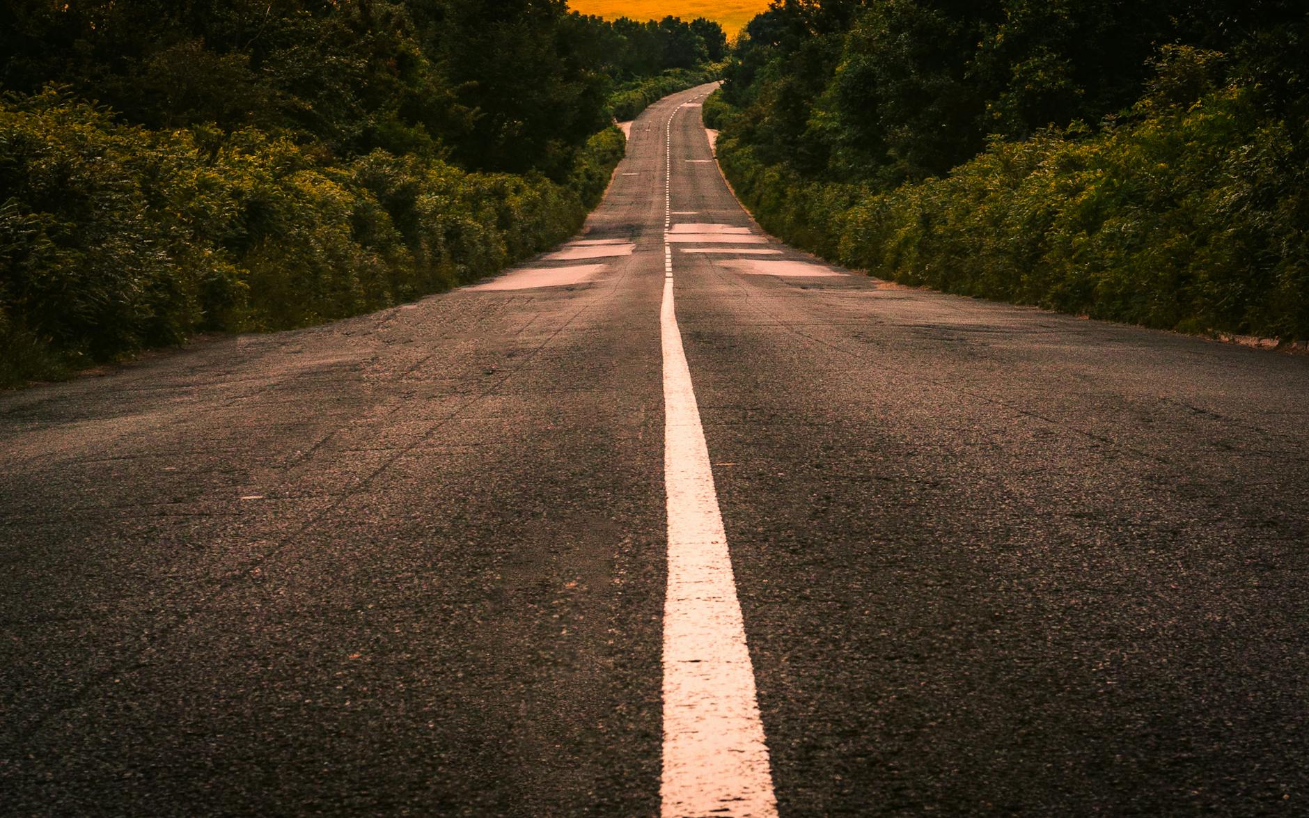 A scenic empty road stretches into the distance, surrounded by lush green foliage under a warm sky.