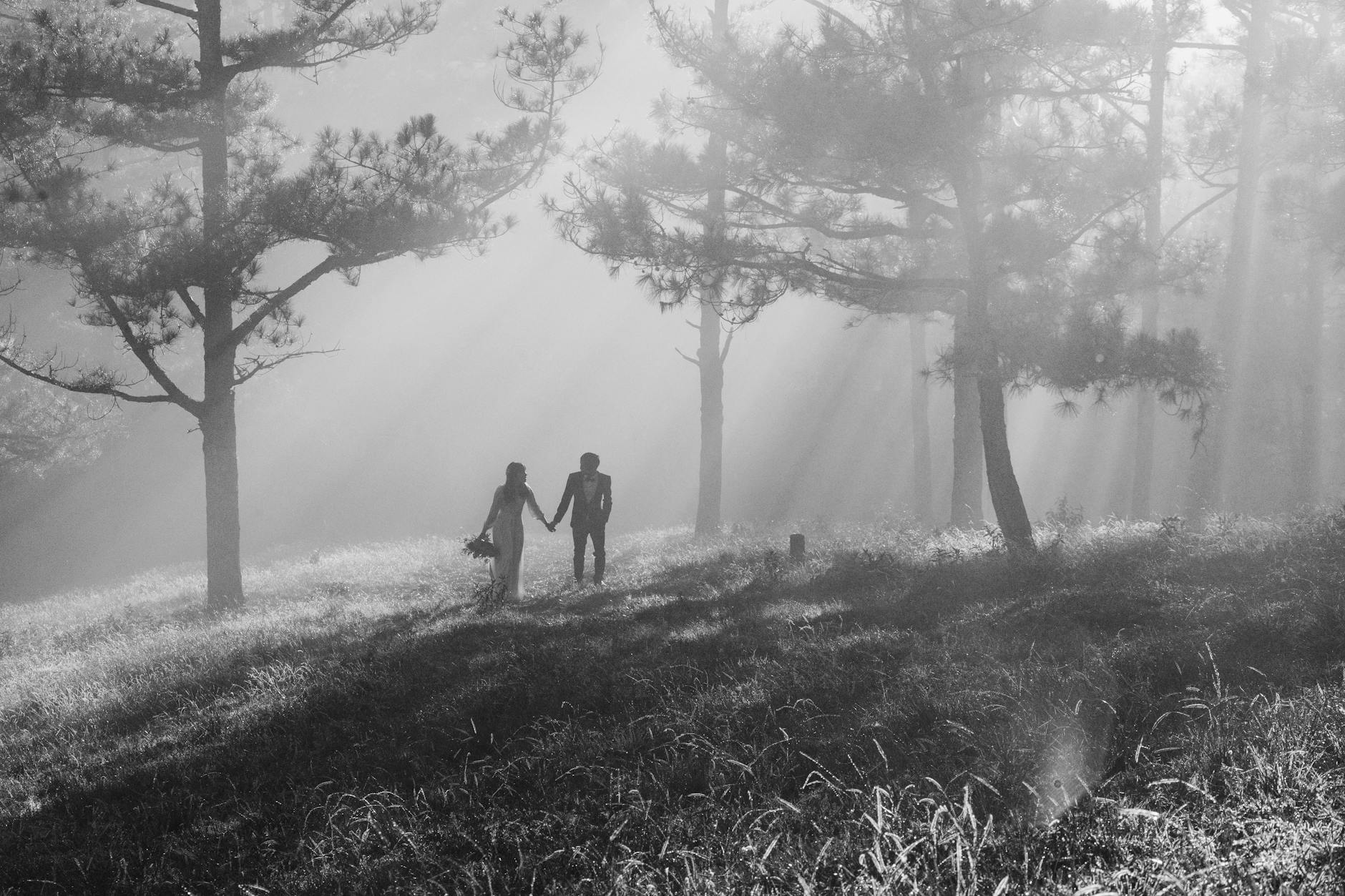 Silhouetted couple holding hands in a foggy forest path with rays of sunlight filtering through the trees.