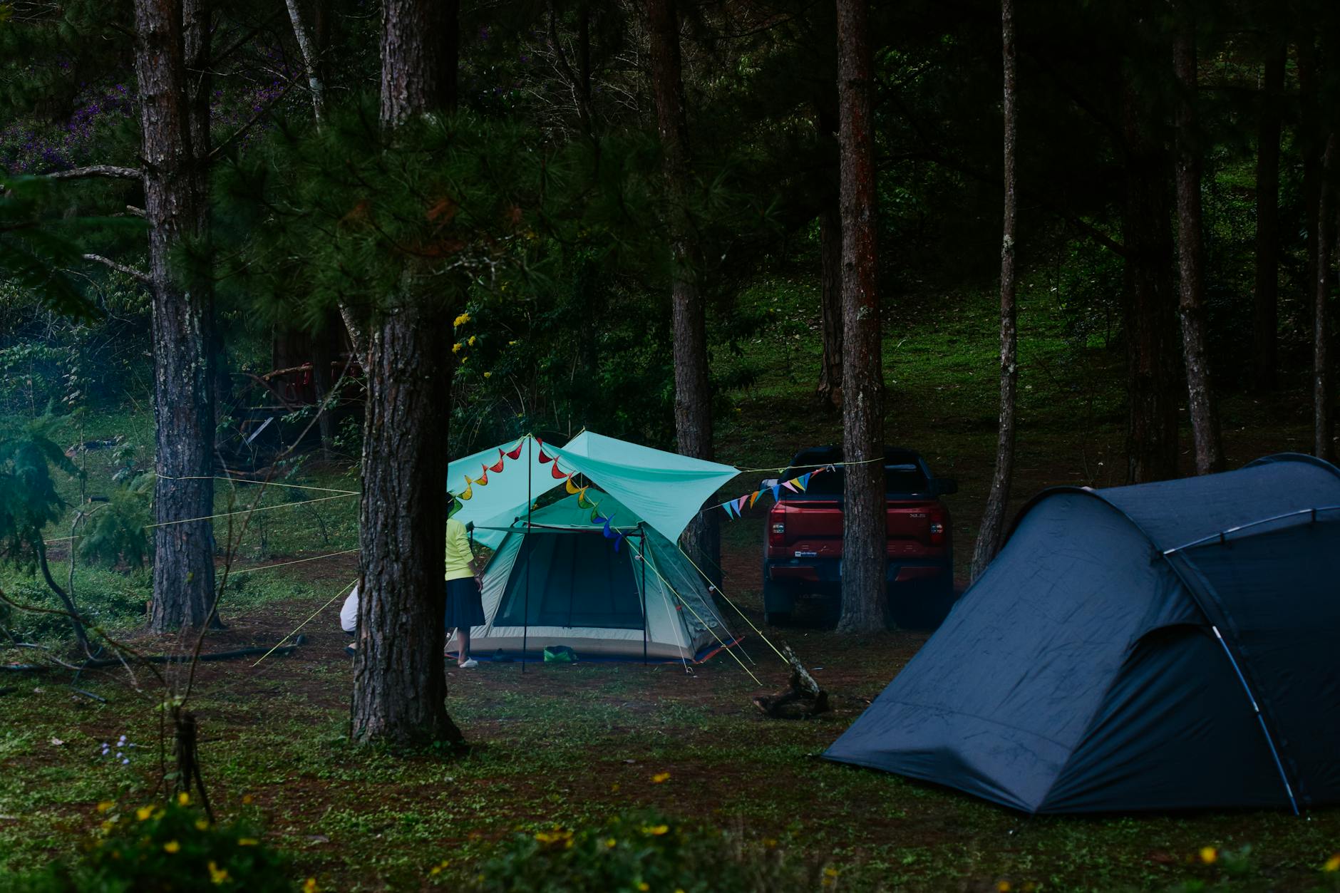Peaceful camping scene in the forest with tents and vehicle surrounded by trees.