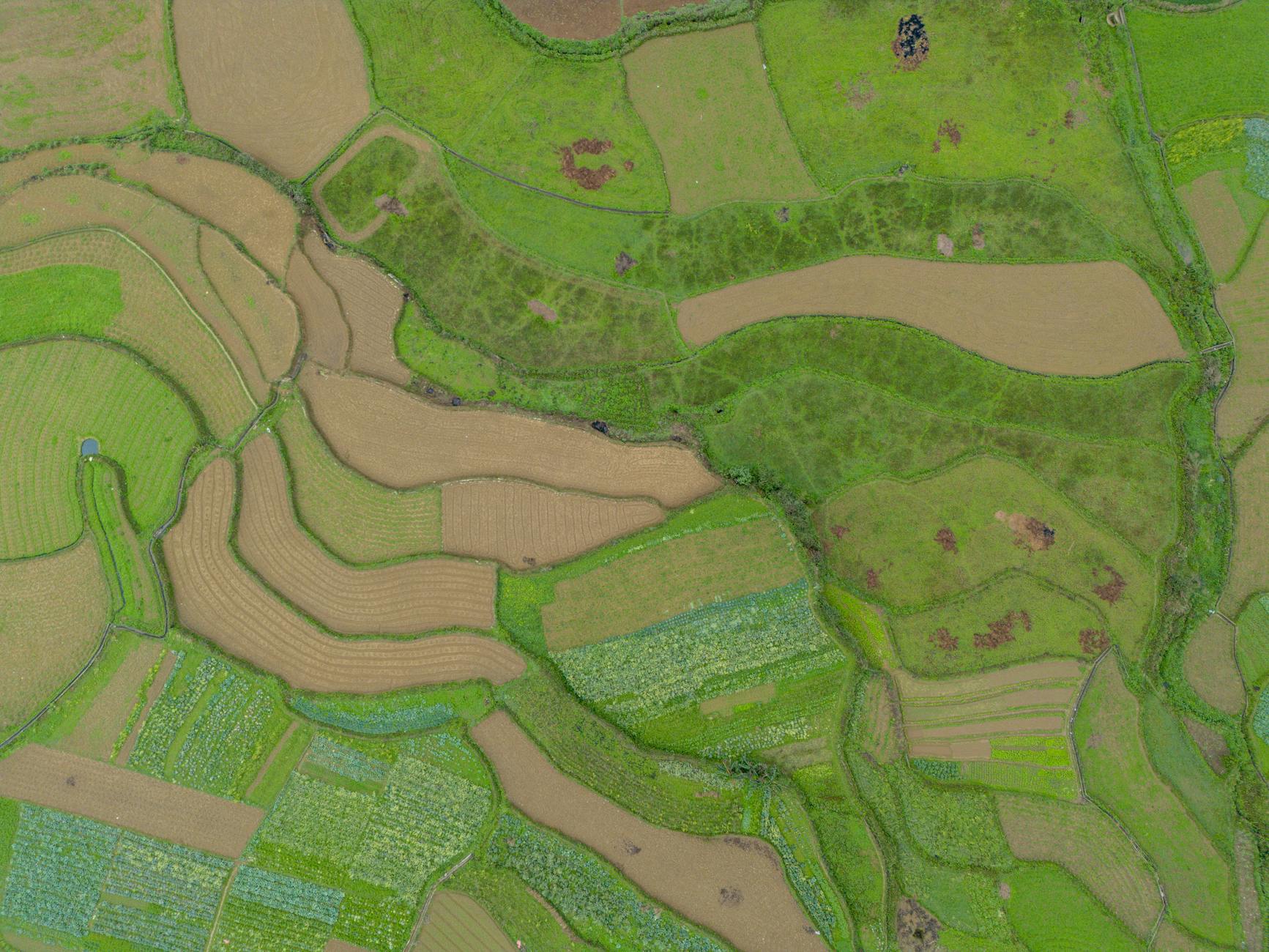 Discover the lush, green terraced rice fields of Ha Giang, captured from above, with rich patterns and textures.