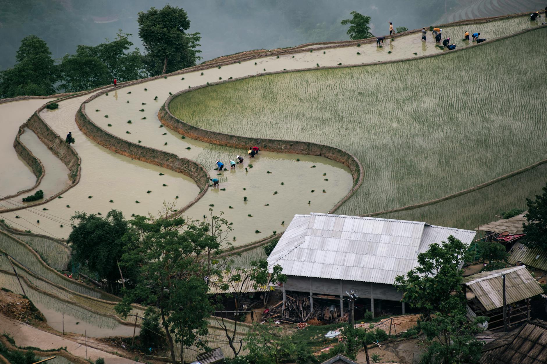 A picturesque view of rice terraces with farmers in Hà Giang, Vietnam, showcasing rural life.