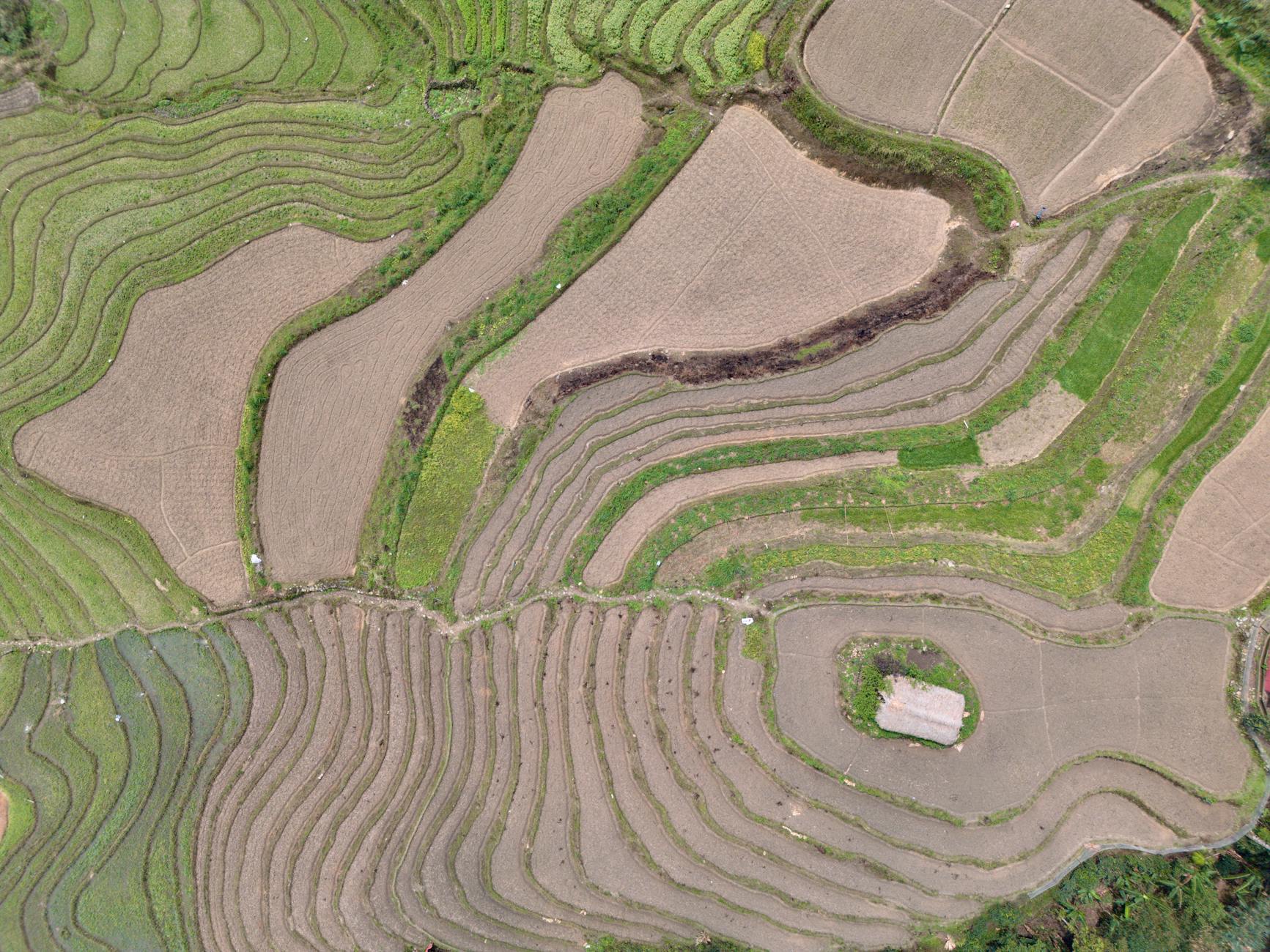 An aerial shot showcasing the intricate rice terraces in Hà Giang, Vietnam.