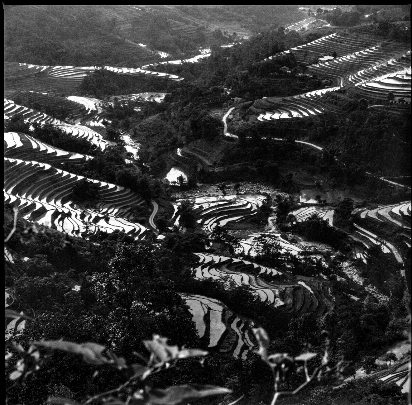 Explore the intricate beauty of terraced fields in Hà Giang, Vietnam, captured in black and white.