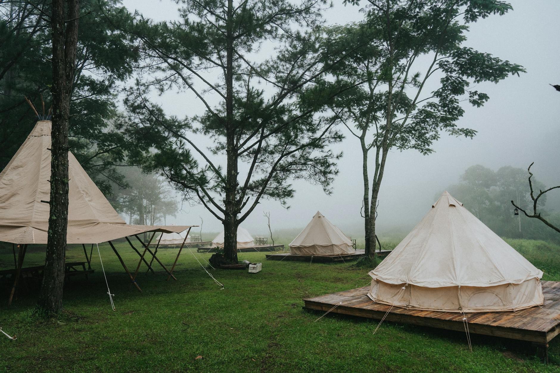Misty Đà Lạt forest with glamping tents creating a serene outdoor camping experience.