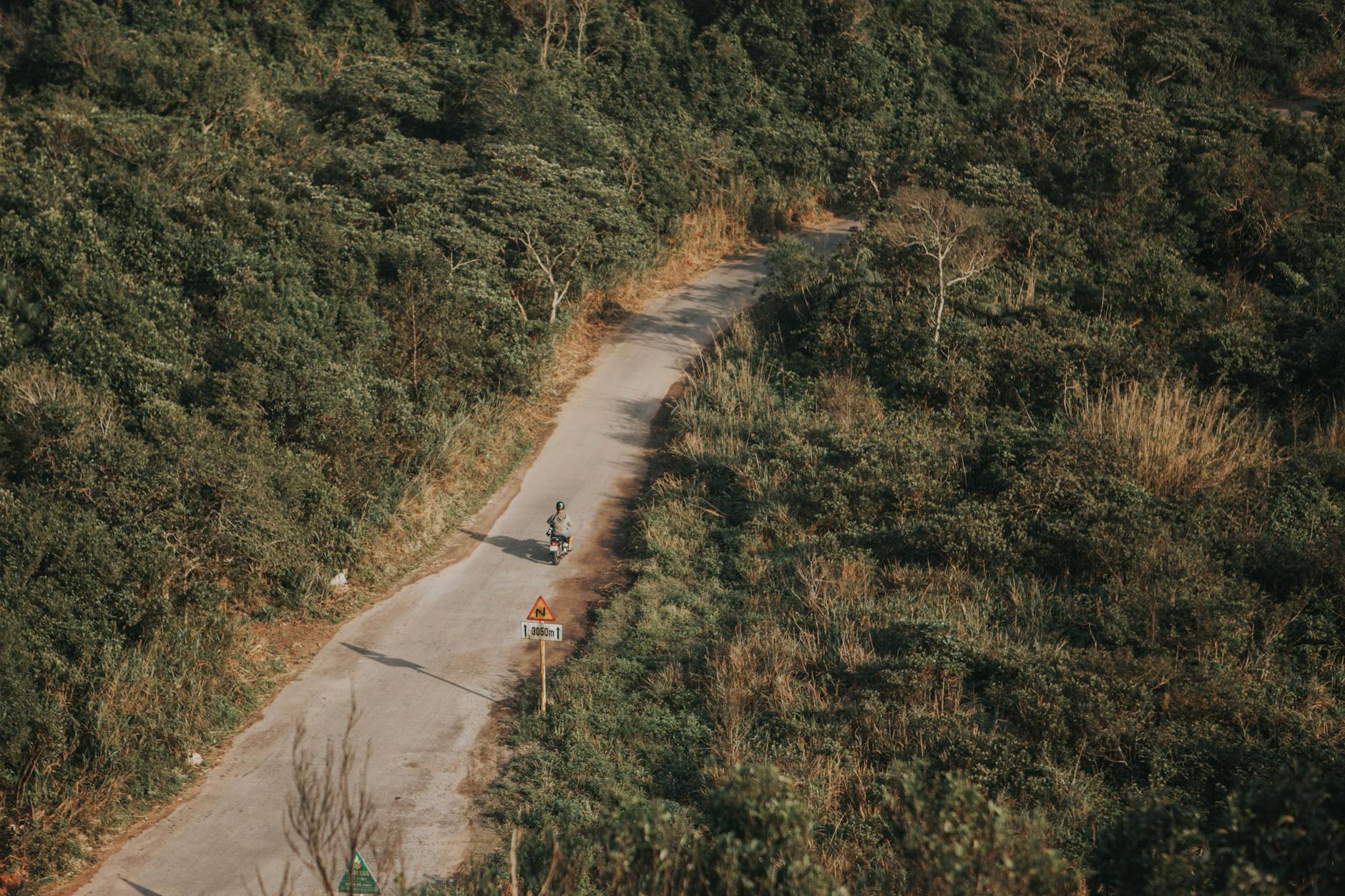 A motorbike travels through a winding road surrounded by dense greenery in Đà Nẵng, Vietnam.