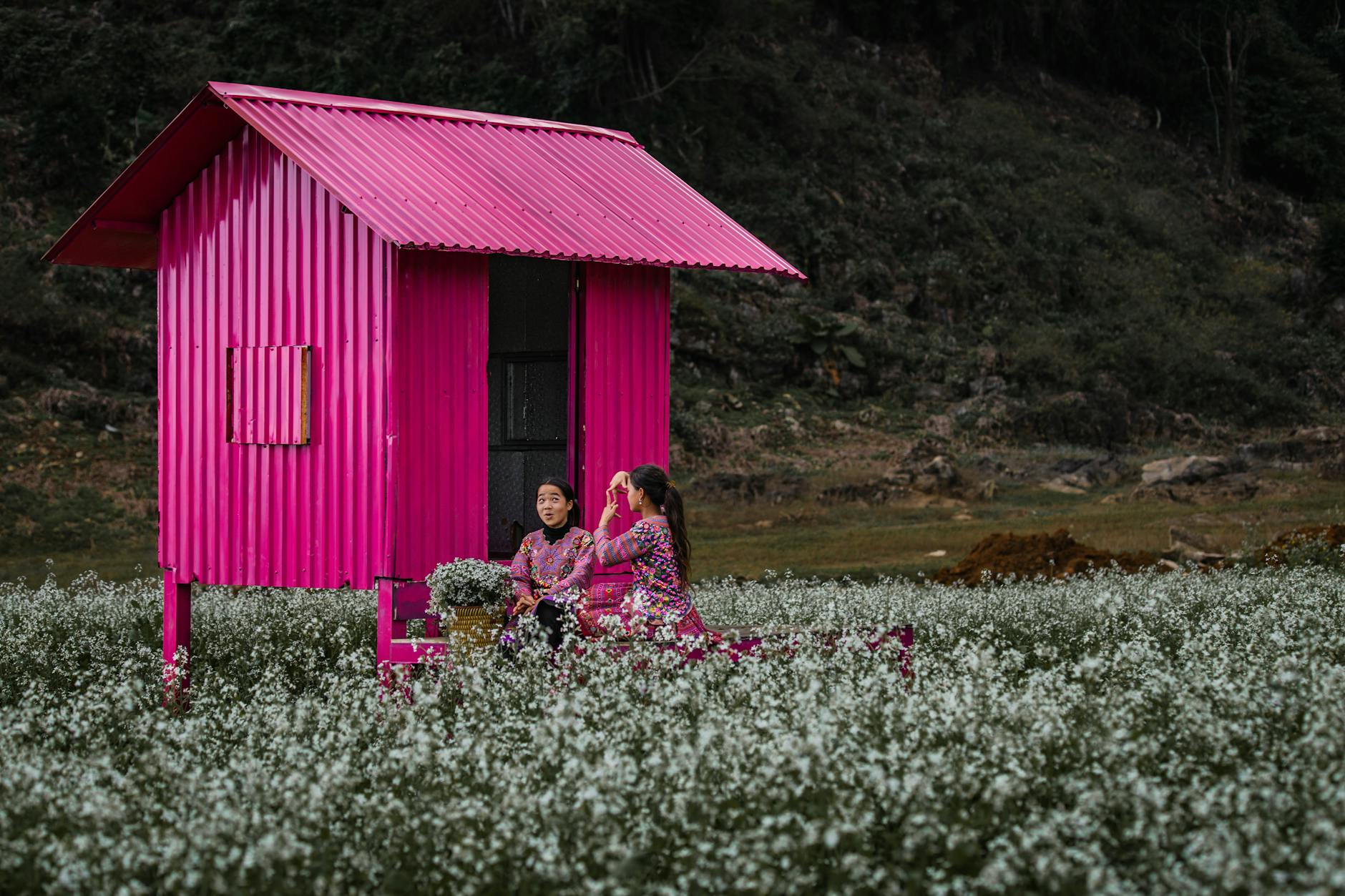 Two women in colorful attire sit by a bright pink house in a Vietnamese plum field.