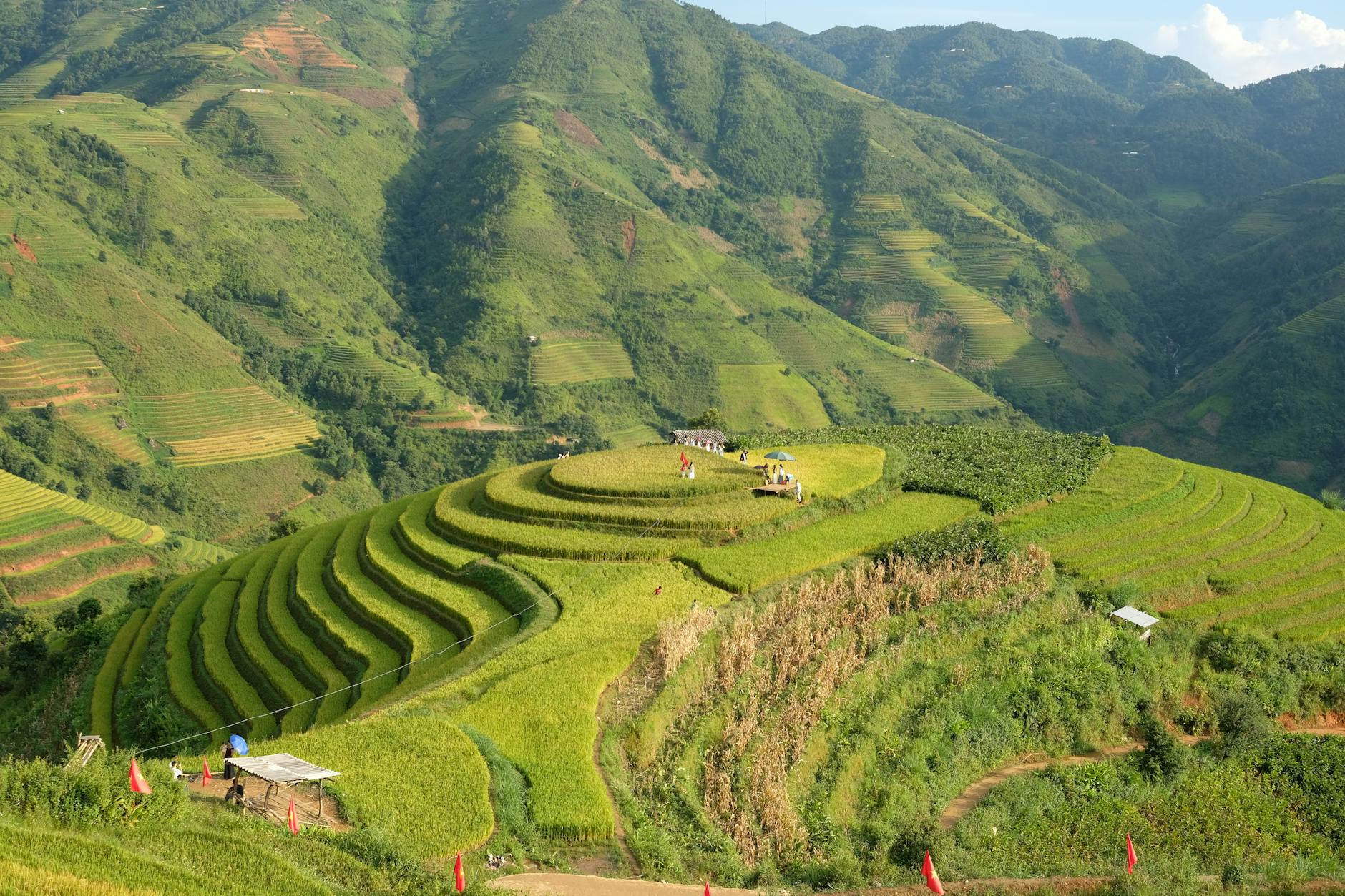 Lush green rice terraces in rolling mountains, perfect for travel enthusiasts.