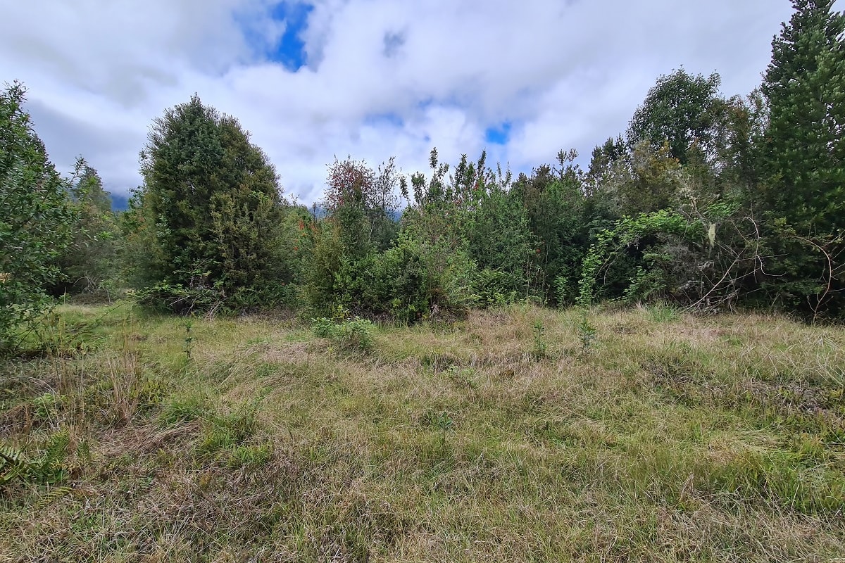 vendo-parcela-a-30-minutos-de-puerto-montt