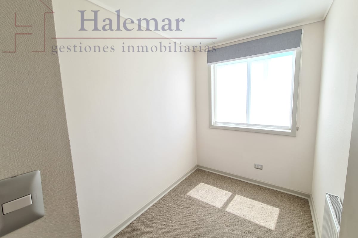 Marta Colvin 2000, Alta Vista