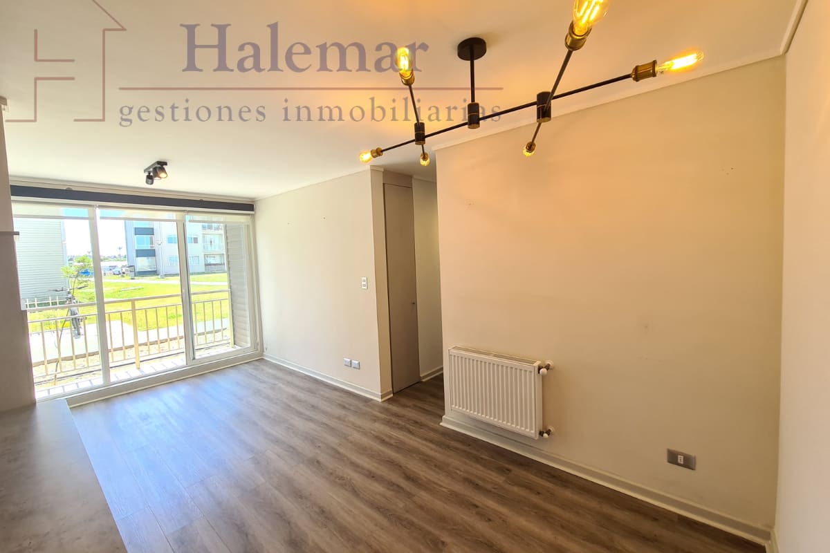 Marta Colvin 2000, Alta Vista