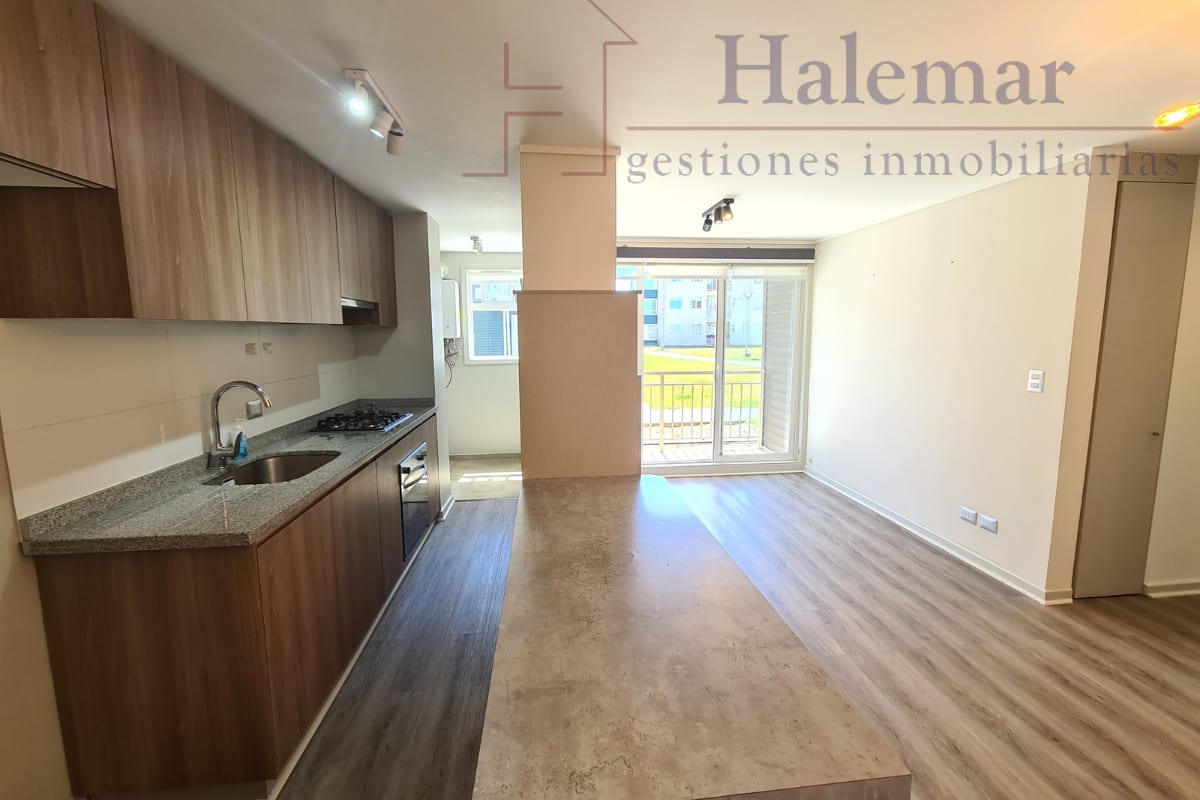 Marta Colvin 2000, Alta Vista