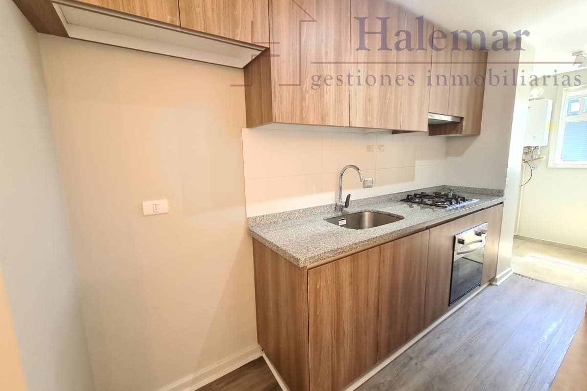 Marta Colvin 2000, Alta Vista