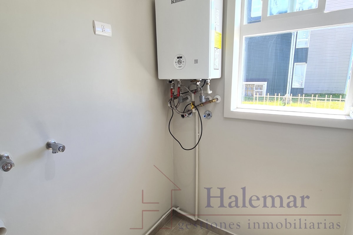 Marta Colvin 2000, Alta Vista