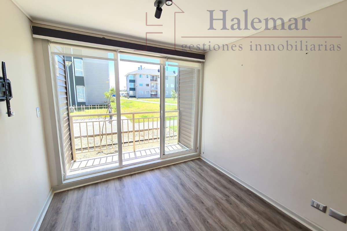 Marta Colvin 2000, Alta Vista