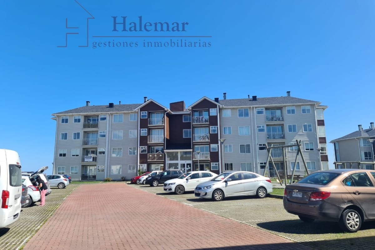 Marta Colvin 2000, Alta Vista