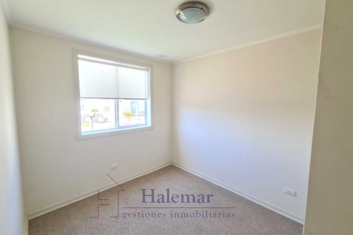 Marta Colvin 2000, Alta Vista