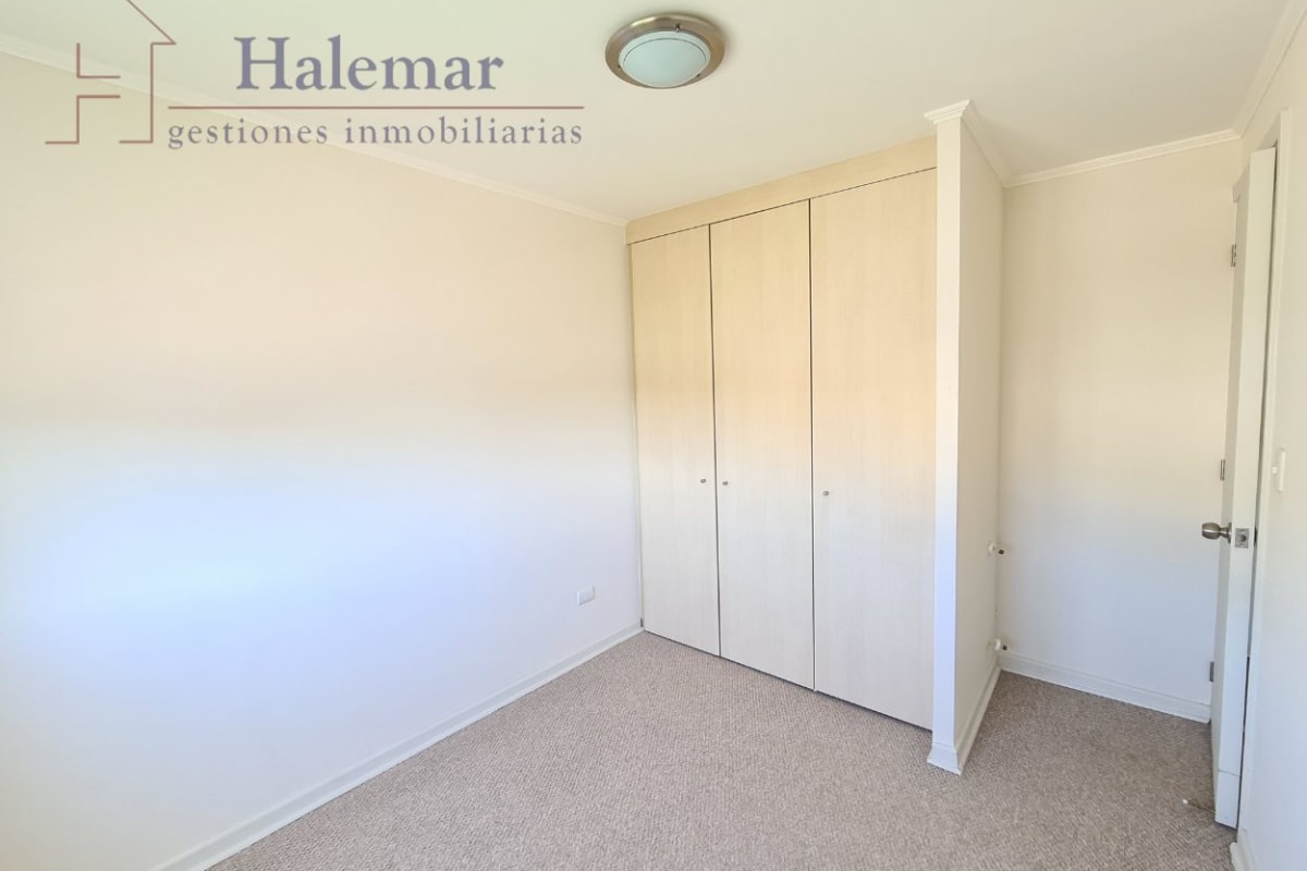 Marta Colvin 2000, Alta Vista