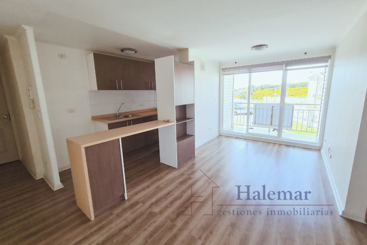 Marta Colvin 2000, Alta Vista