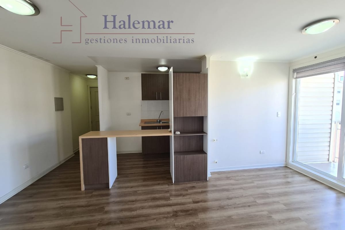 Marta Colvin 2000, Alta Vista