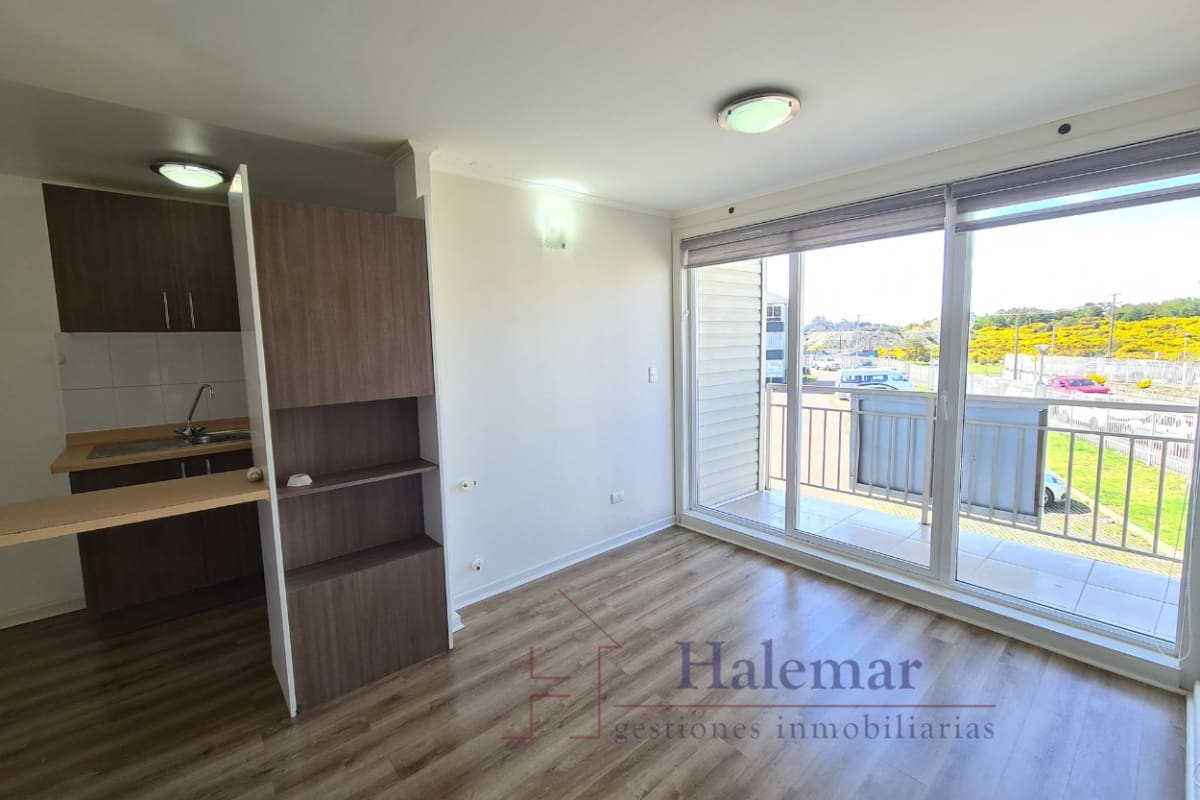 Marta Colvin 2000, Alta Vista