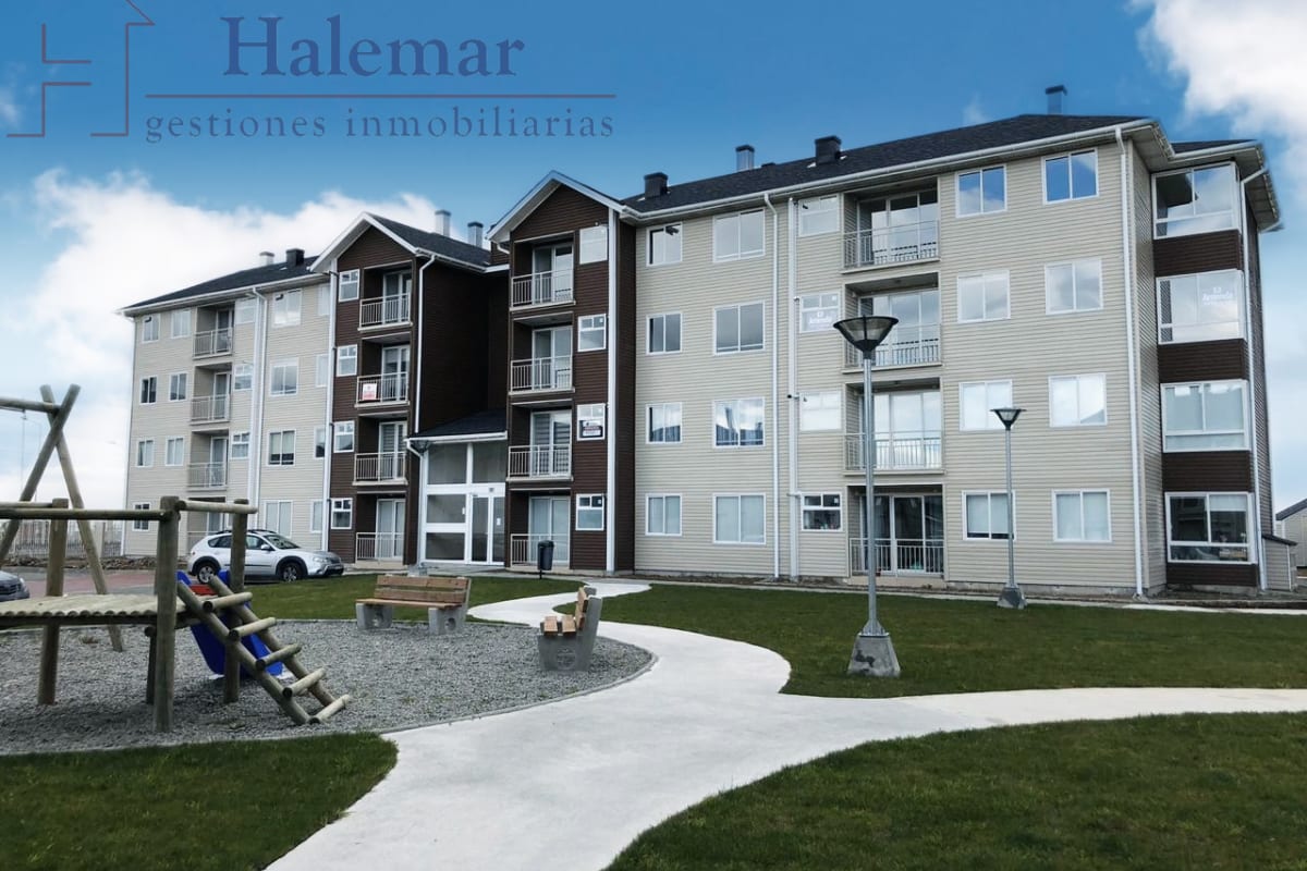 Marta Colvin 2000, Alta Vista