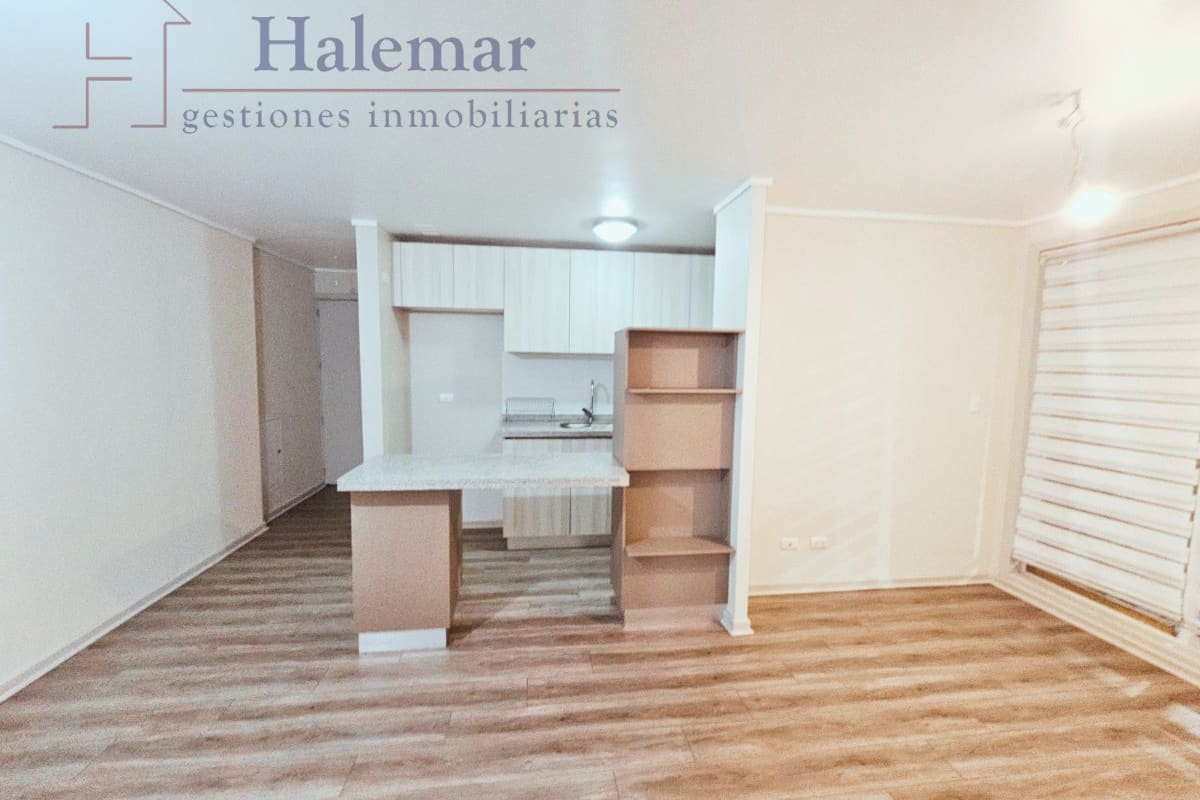 Marta Colvin 2000, Alta Vista