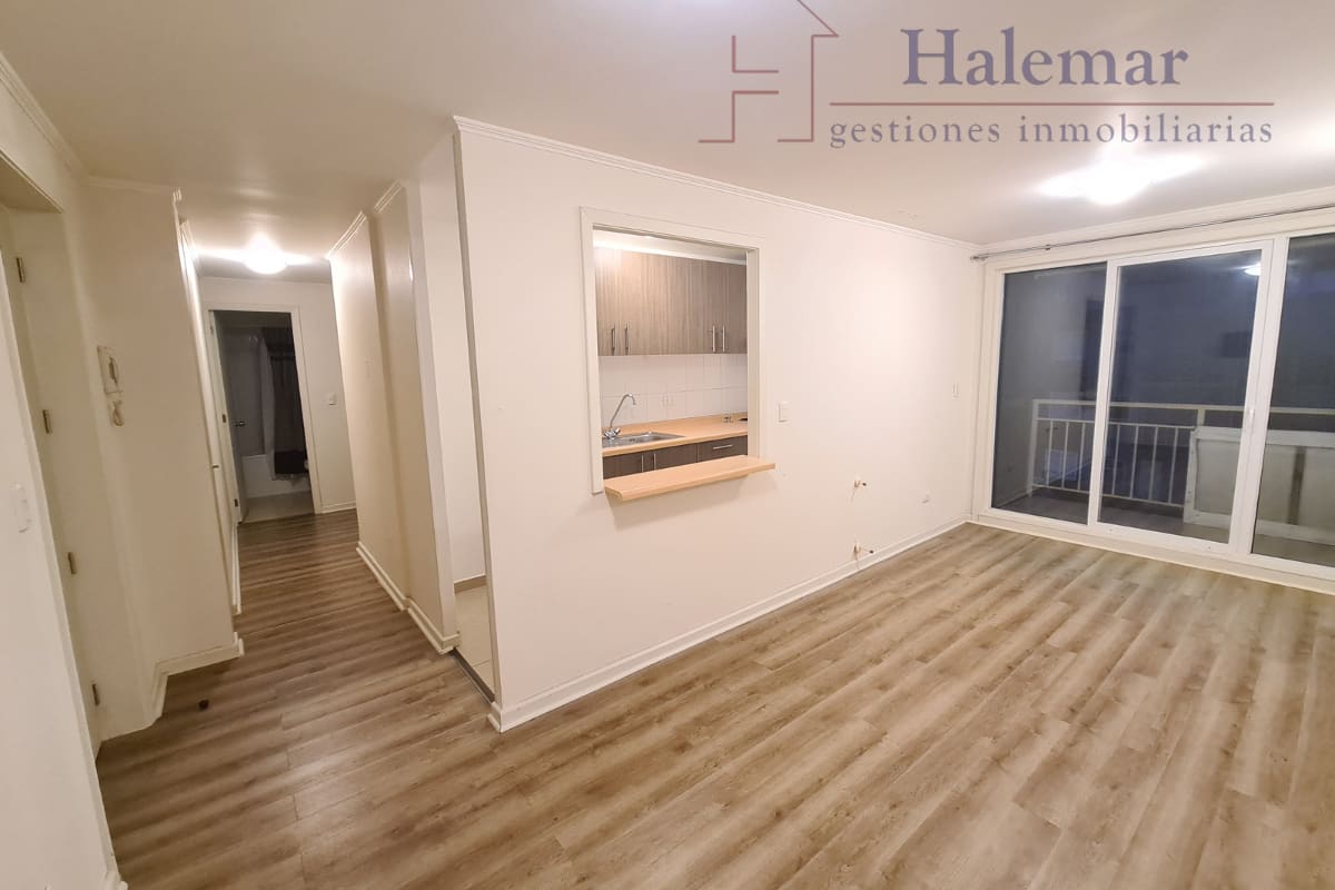 Marta Colvin 2000, Alta Vista