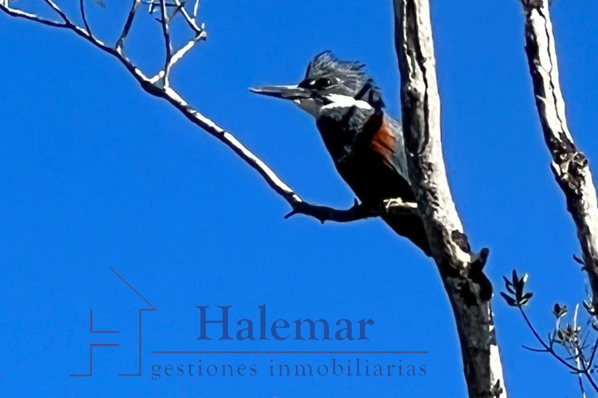 Parcelación Ríos del Chucao