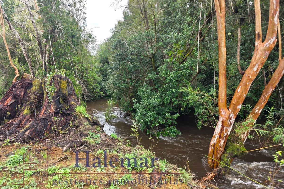 Parcelación Ríos del Chucao