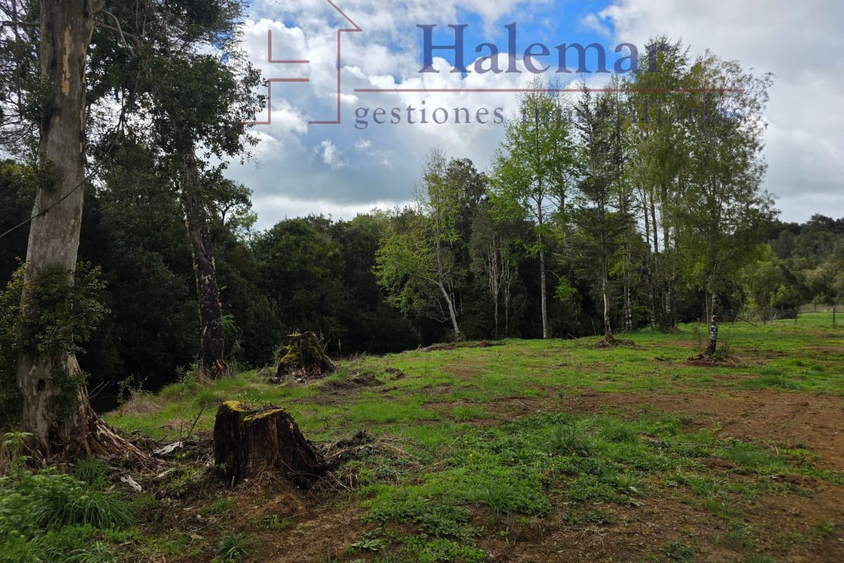 Parcelación Ríos del Chucao