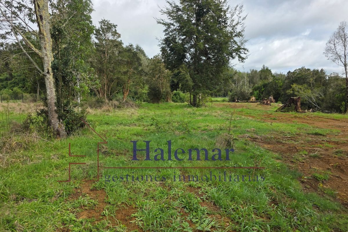 Parcelación Ríos del Chucao