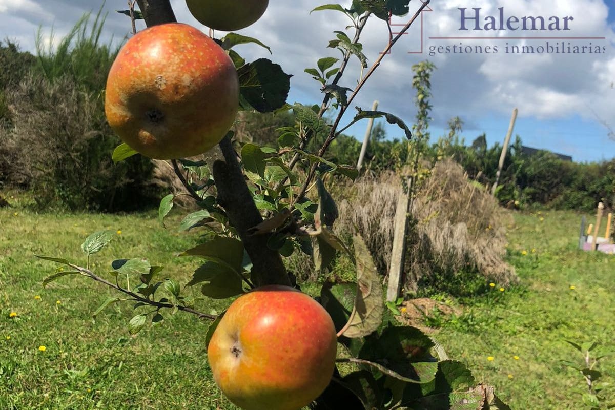 Parcelación Don Rafael